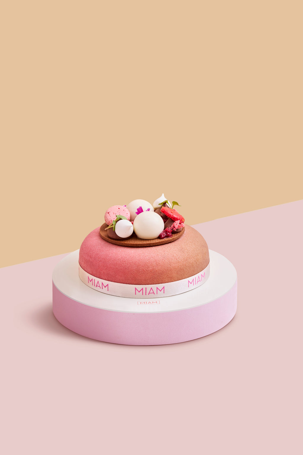 Dark Chocolate & Raspberry Cake