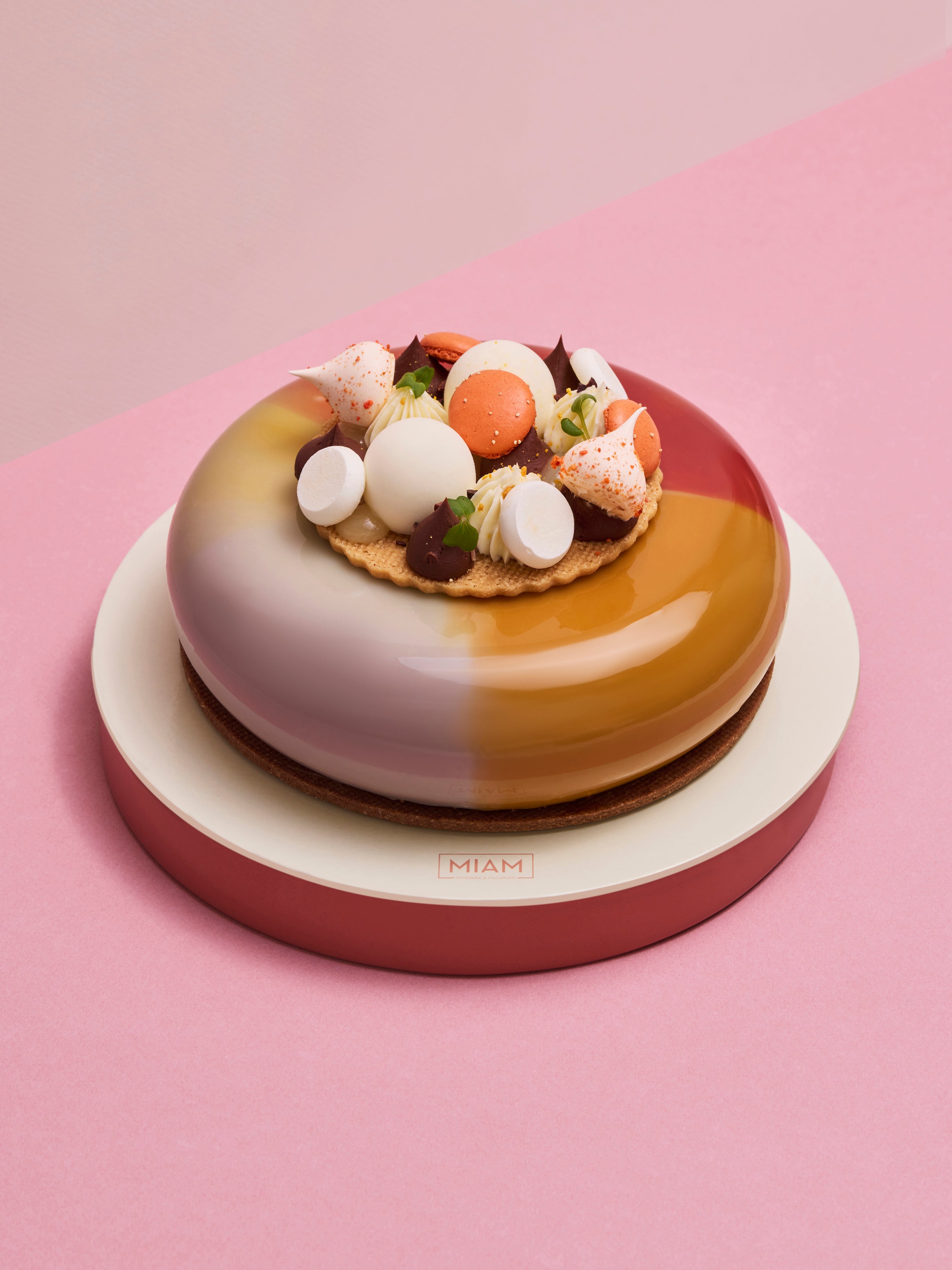 Dark Chocolate & Raw Mango Entremet - 1 kg
